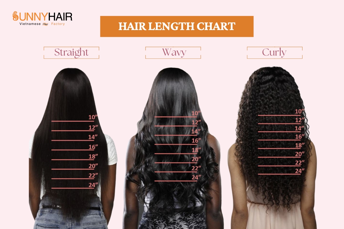 Hair Length Chart Find Your Ideal Hair Length