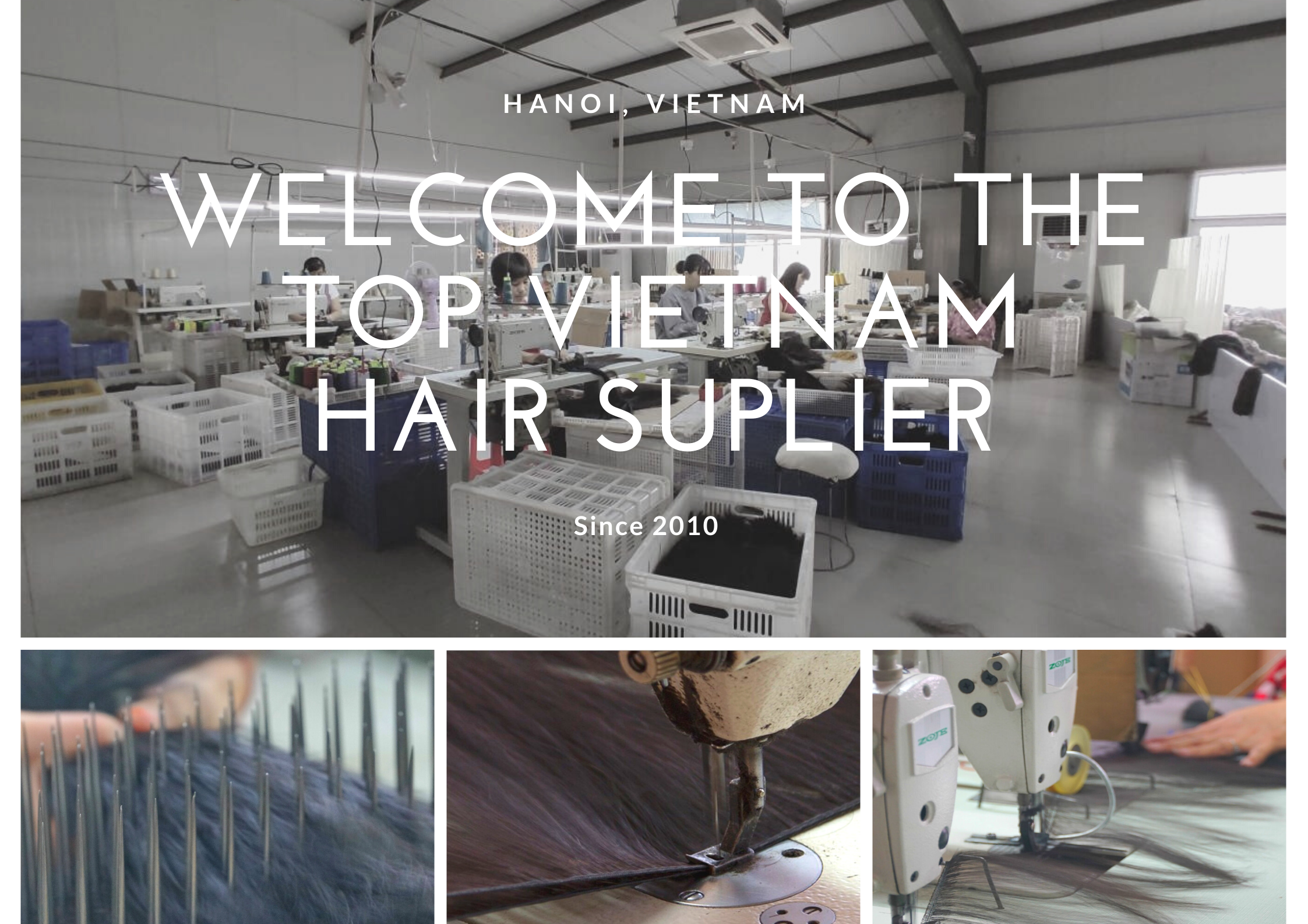 Top Hair Factory in vietnam