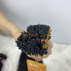 Sunny Hair Best Price Kinky Curly Keratin I Tip Hair Pre-Bonded Virgin Human Hair Extensions for Brazilian, African Ladies
