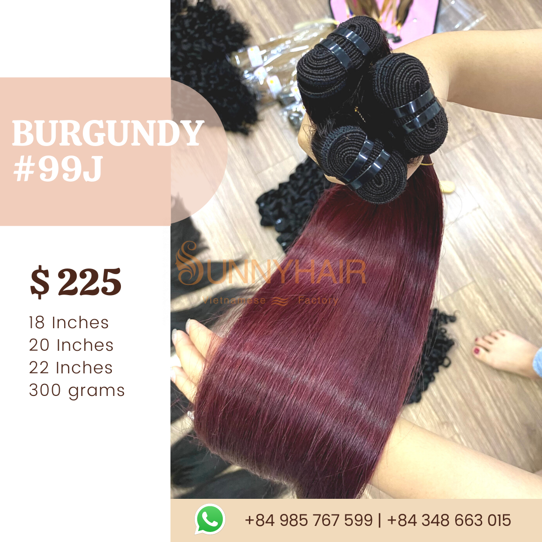 Hot Combo Ombre Color Human Hair Bundles Virgin Vietnamese Straight Hair Short Bob 50g/bundle 10 12 14 Inch 4 Double Weft Hair Bundles/set 1 Lace Closure