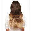 Body Wave Ombre Lace Front Wigs 13x4 Lace Front Wigs Remy Malaysian Human Hair