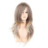 Hot Layer style Long Straight Lace Front Wig Mixed Color Vietnamese Hair Wigs