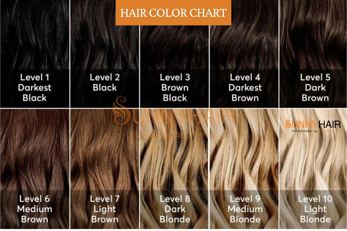 hair-color-chart-explained-from-light-to-dark